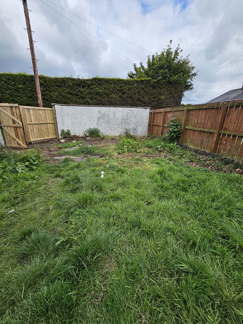 garden after waste removal